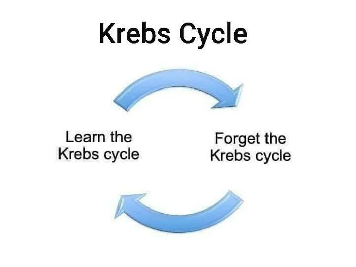 Meme of the Krebs cycle with arrows showing "Learn the Krebs cycle" and "Forget the Krebs cycle". Chemistry humor.