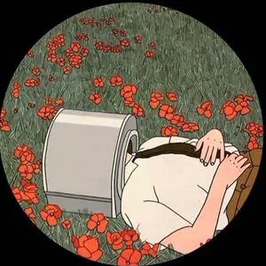 PoppiesNflowers87 (He/They)