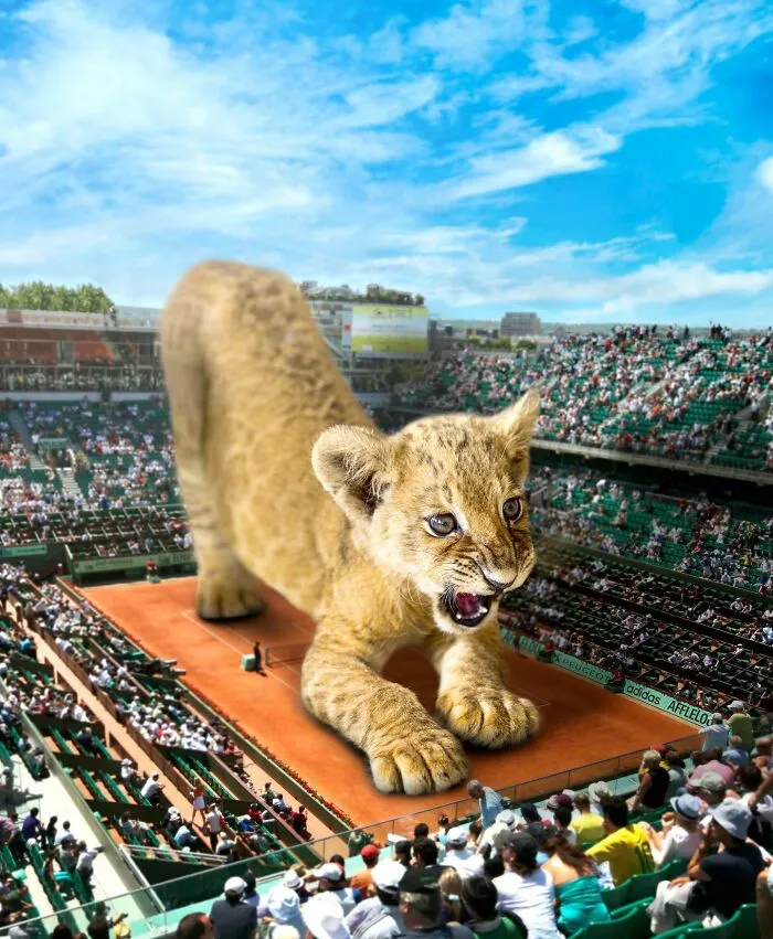 These Artists Create Surreal Photo Edits With Giant Animals In Them (16 Pics)