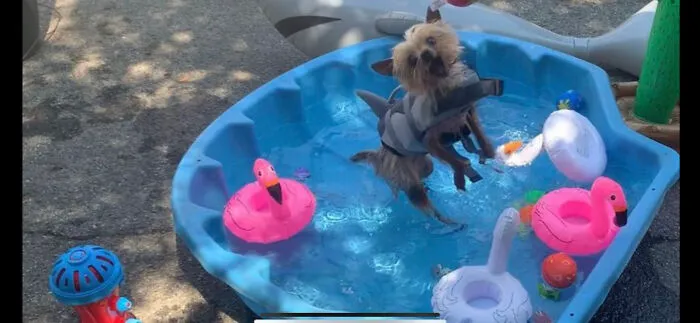 Pool Party!!