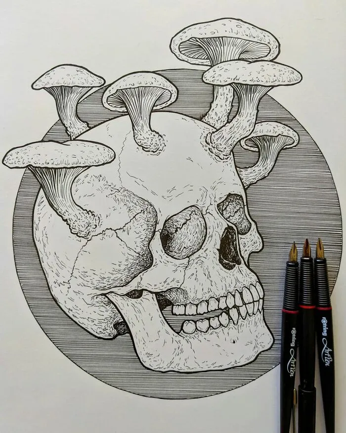 Osseous Boletationis