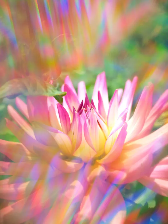 I Create Rainbow-Infused Photography Without The Use Of Photoshop (15 Pics)