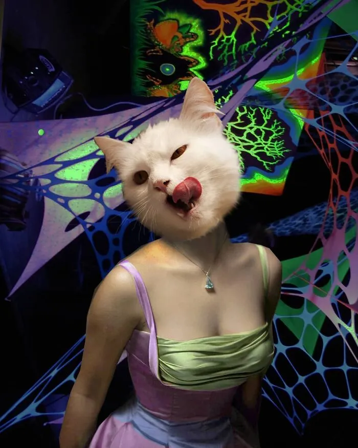 This Artist Creates Peculiar Collages Featuring Cat Photos, And Here Are His 30 Best Works