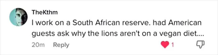 50 Hilarious Times People Caught “American Tourists In The Wild” And Shared Their Experiences