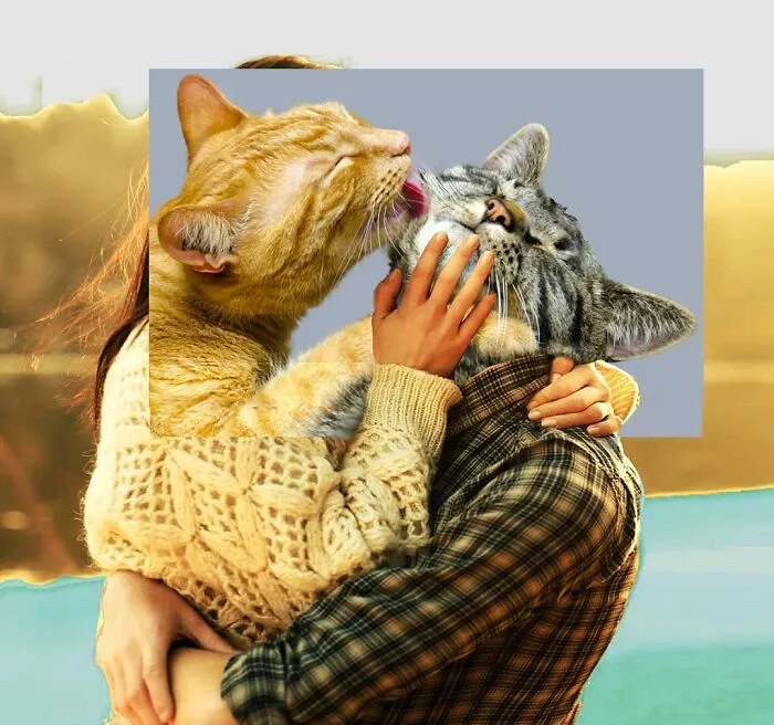 This Artist Creates Peculiar Collages Featuring Cat Photos, And Here Are His 30 Best Works