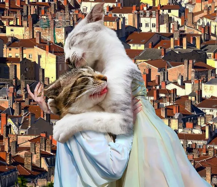 This Artist Creates Peculiar Collages Featuring Cat Photos, And Here Are His 30 Best Works