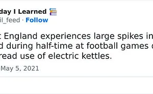 50 “Today I Learned” Facts That Might Pique Your Interest