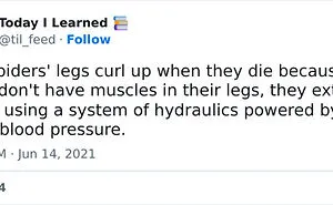50 “Today I Learned” Facts That Might Pique Your Interest