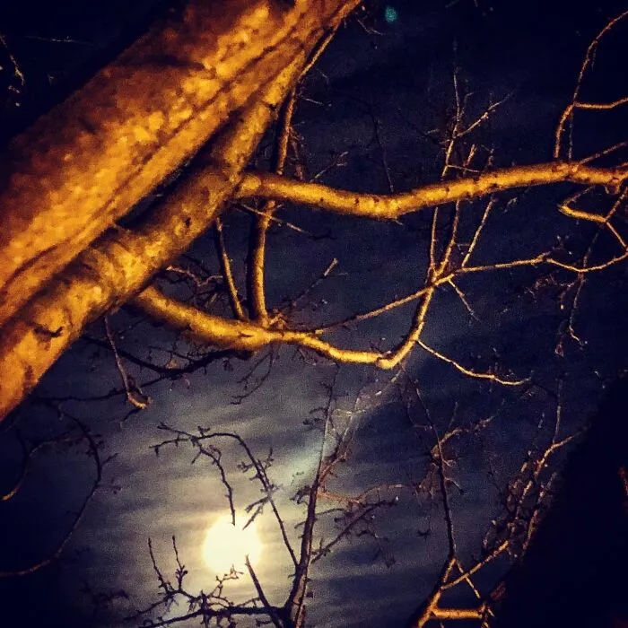 Night Escape