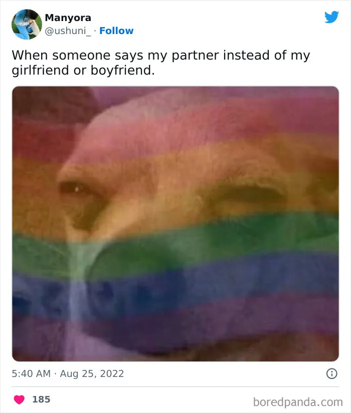 48 Pride Month Memes To Celebrate The Queerest Month Of The Year