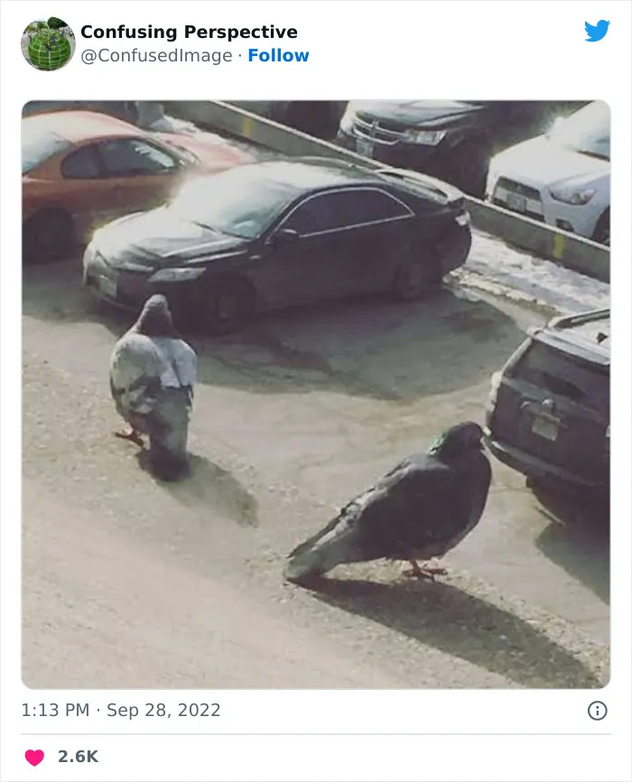 40 Fotos realmente confusas que parecen editadas hasta que las miras dos veces, compartidas por esta cuenta de Twitter