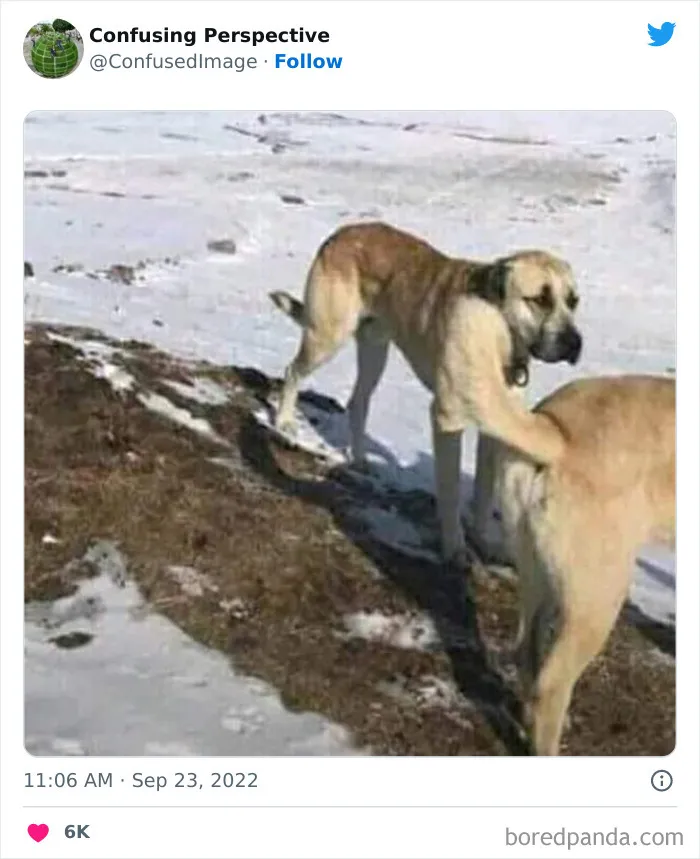 50 Seriously Confusing Pics That Might Require A Double Take, As Shared On This Twitter Page