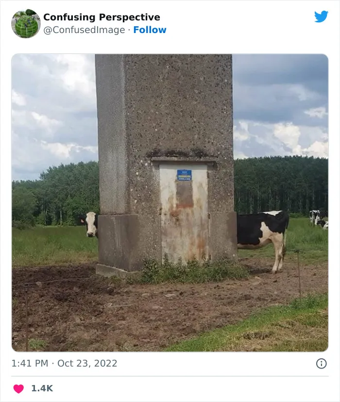 40 Fotos realmente confusas que parecen editadas hasta que las miras dos veces, compartidas por esta cuenta de Twitter
