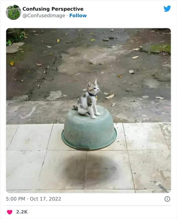 40 Fotos realmente confusas que parecen editadas hasta que las miras dos veces, compartidas por esta cuenta de Twitter