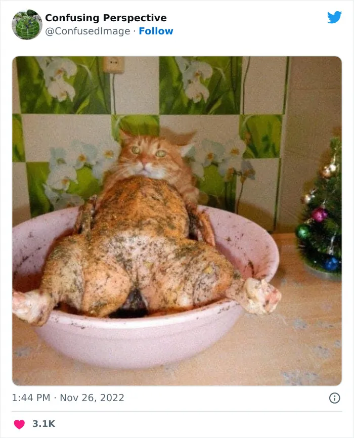 40 Fotos realmente confusas que parecen editadas hasta que las miras dos veces, compartidas por esta cuenta de Twitter