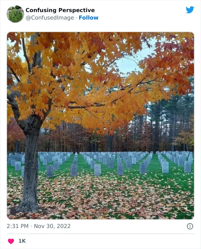 50 Seriously Confusing Pics That Might Require A Double Take, As Shared On This Twitter Page
