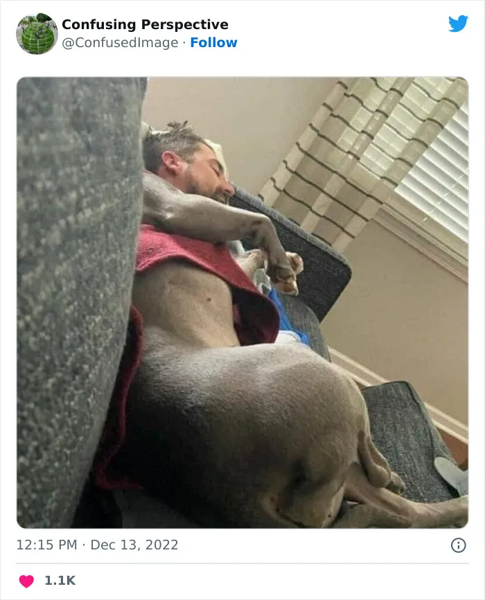 40 Fotos realmente confusas que parecen editadas hasta que las miras dos veces, compartidas por esta cuenta de Twitter