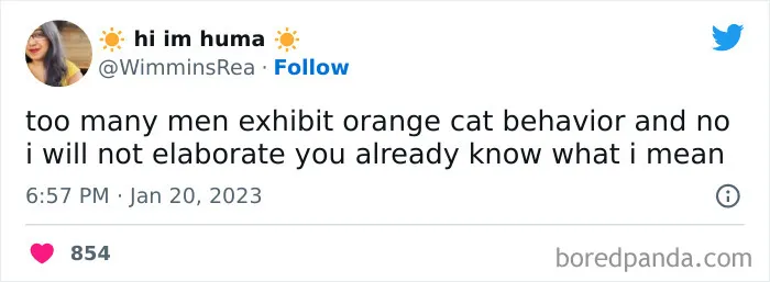 Orange Cat Behavior