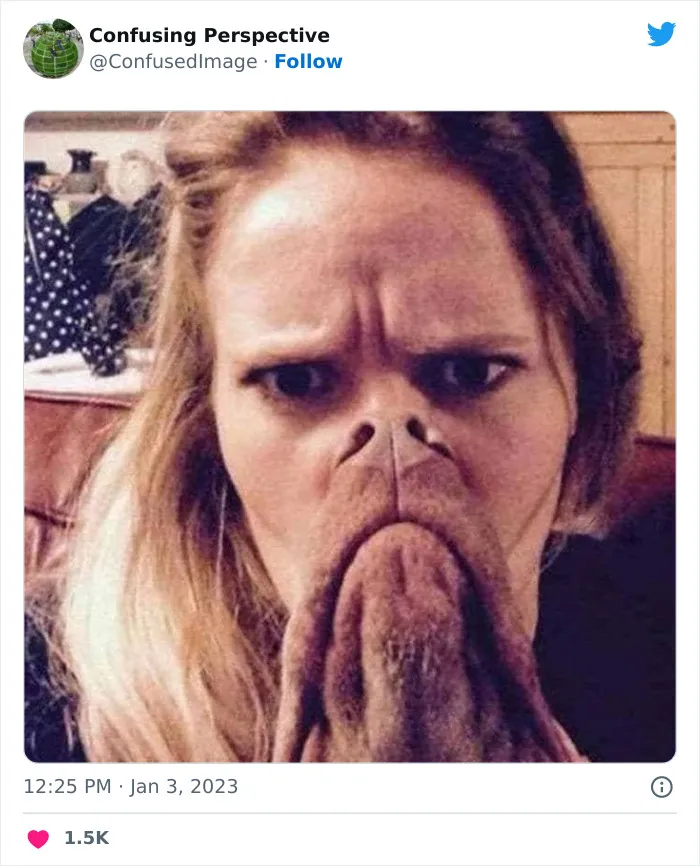 40 Fotos realmente confusas que parecen editadas hasta que las miras dos veces, compartidas por esta cuenta de Twitter