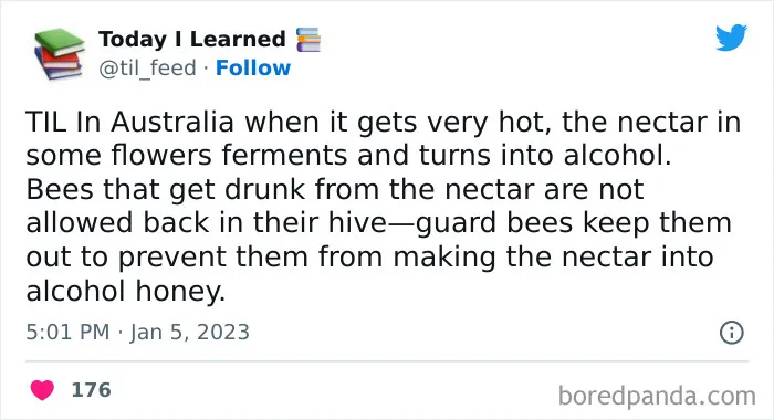 50 “Today I Learned” Facts That Might Pique Your Interest