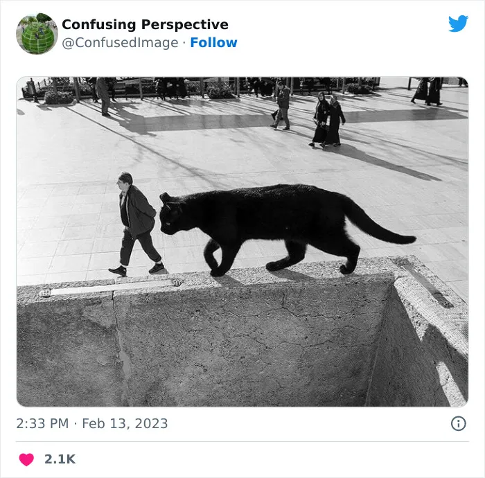 40 Fotos realmente confusas que parecen editadas hasta que las miras dos veces, compartidas por esta cuenta de Twitter