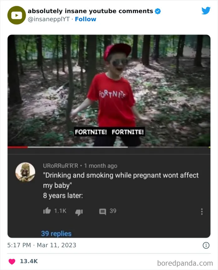 39 Times Savage Comments Earned Their Place On The “Absolutely Insane YouTube Comments” Twitter Page (New Pics)