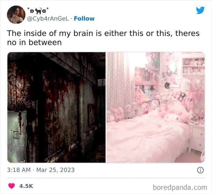 Dual Personality Vibes