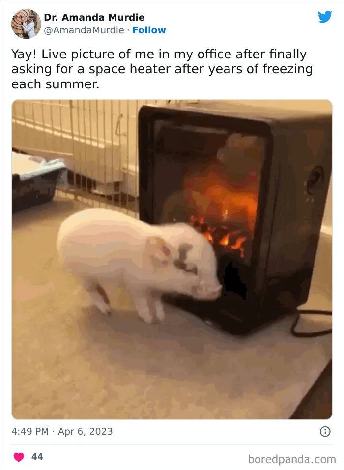People Who Are Freezing In The Office Can't Help But Complain On Twitter And Here Are 40 Of The Most Relatable Tweets