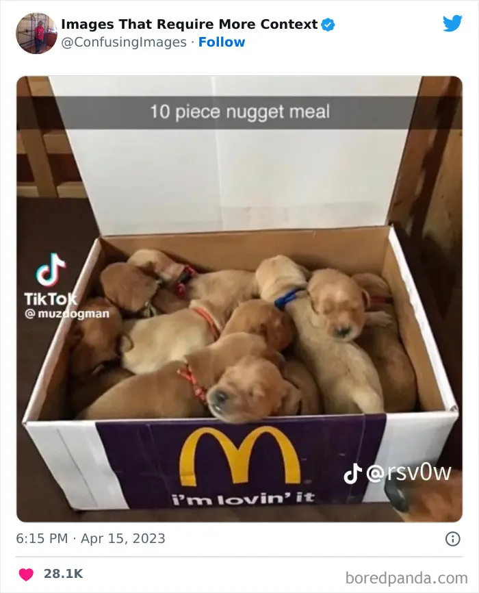 This Twitter Account Collects Images That Raise More Questions Than They Provide Answers, And Here Are 40 Of The Funniest Ones (New Pics)
