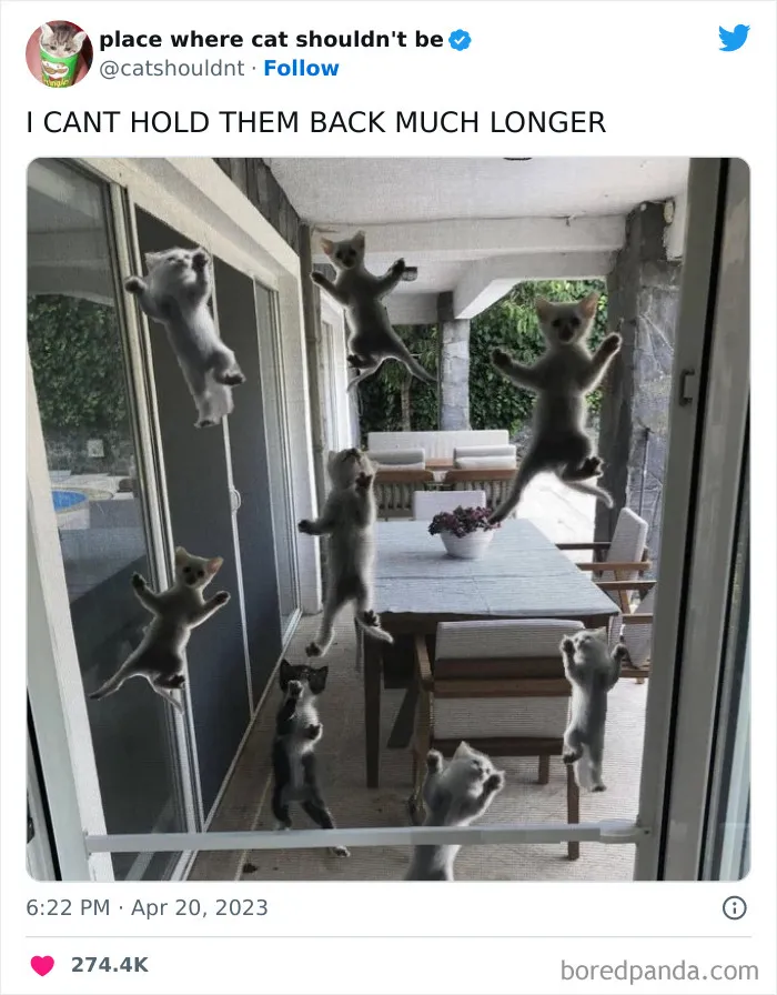 50 Hilarious Photos Of Cats Getting Into Places Where They Probably Shouldn’t Be (New Pics)