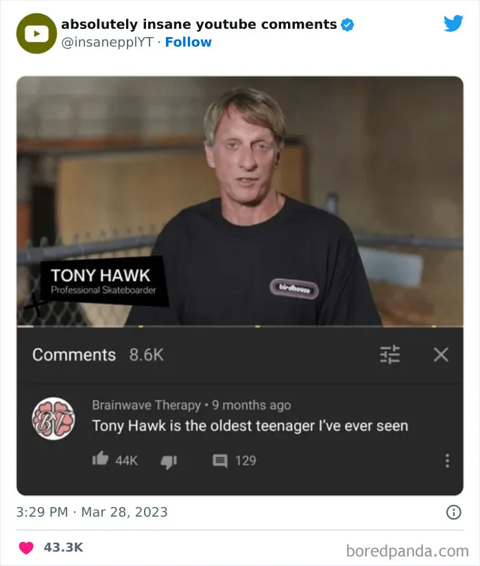 39 Times Savage Comments Earned Their Place On The “Absolutely Insane YouTube Comments” Twitter Page (New Pics)