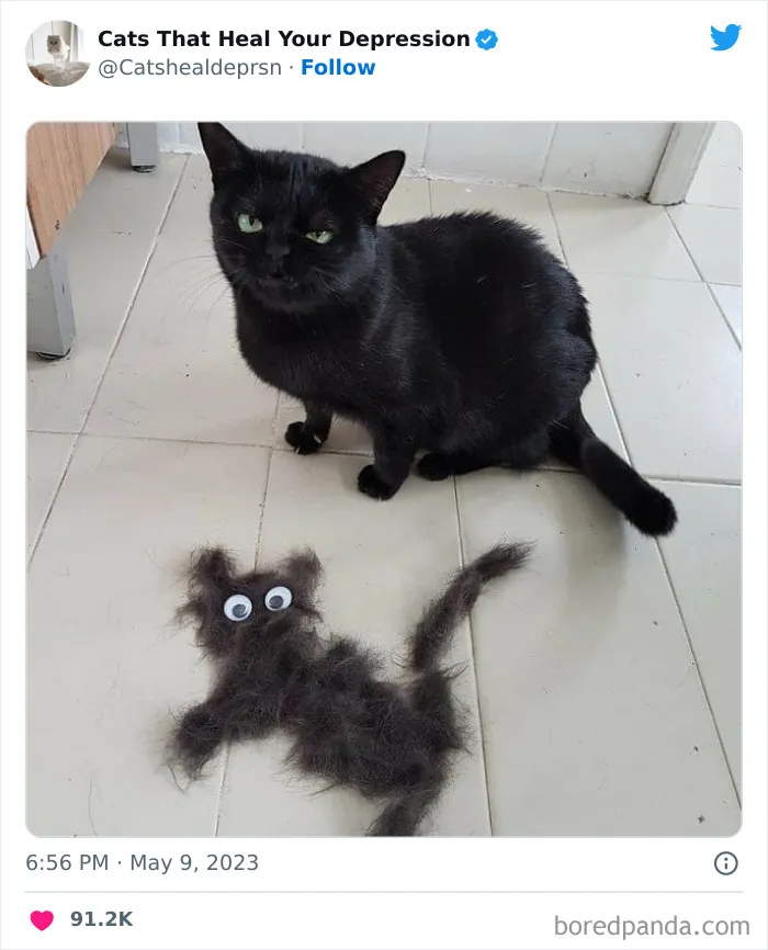 45 Adorables fotos de "gatitos que curan tu depresión", y realmente funcionan