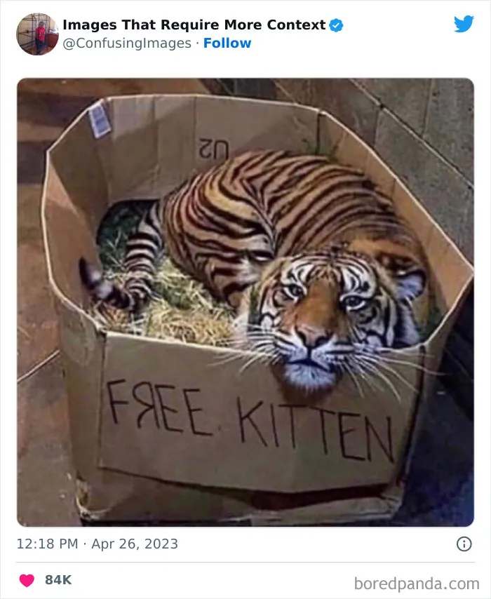 This Twitter Account Collects Images That Raise More Questions Than They Provide Answers, And Here Are 40 Of The Funniest Ones (New Pics)