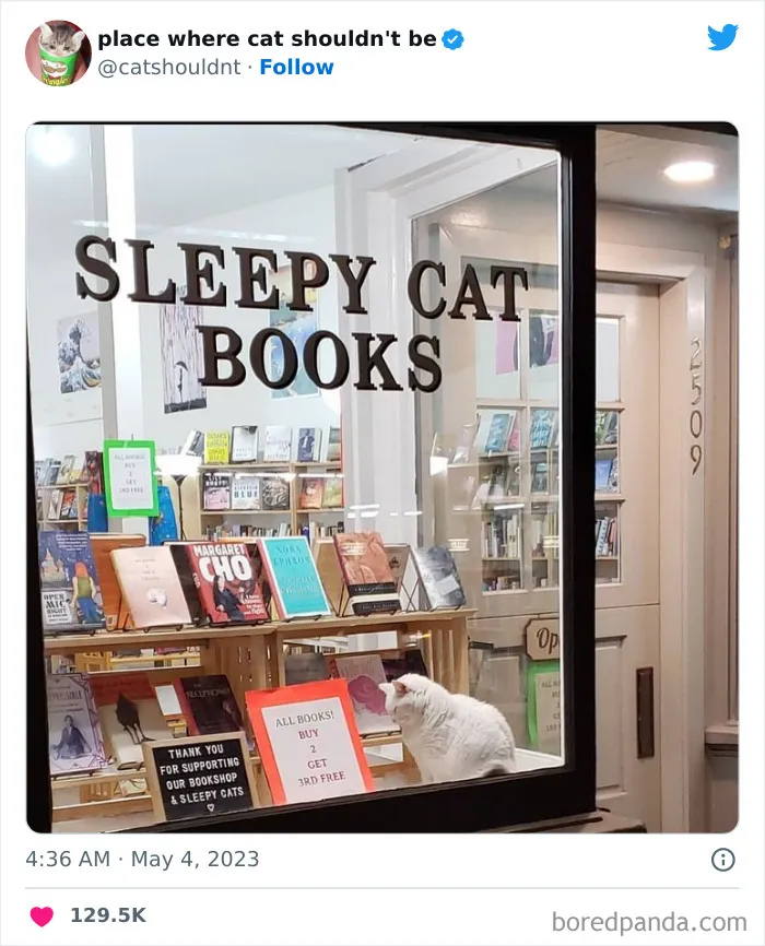 50 Hilarious Photos Of Cats Getting Into Places Where They Probably Shouldn’t Be (New Pics)