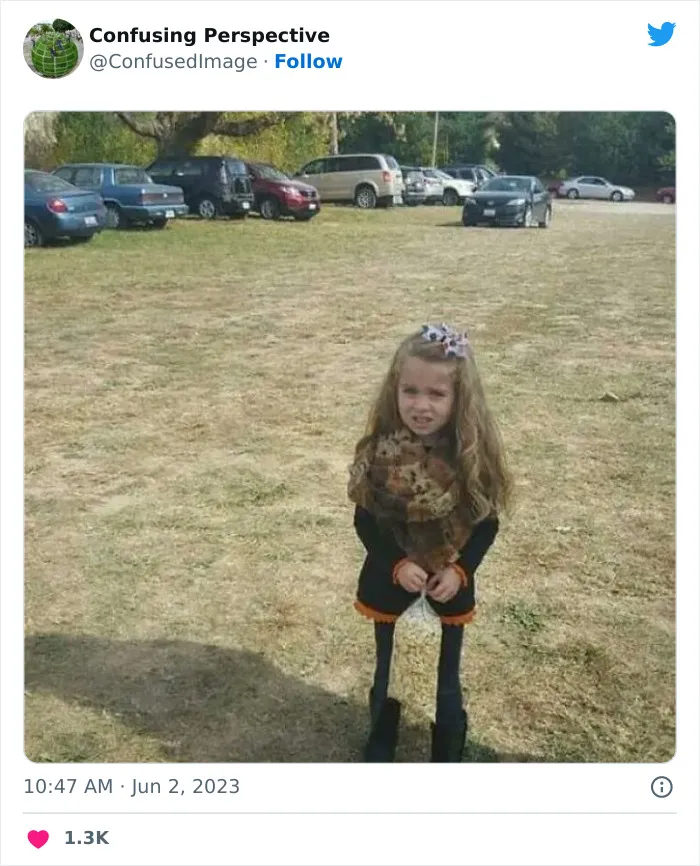 40 Fotos realmente confusas que parecen editadas hasta que las miras dos veces, compartidas por esta cuenta de Twitter