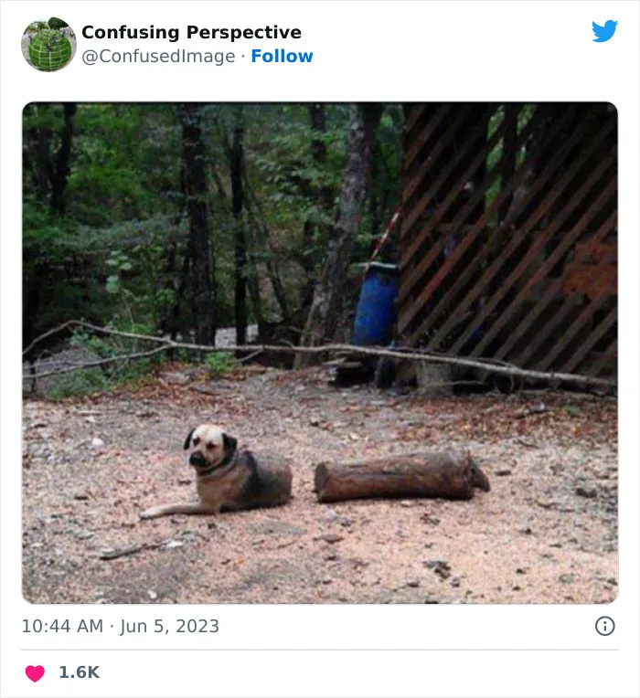 50 Seriously Confusing Pics That Might Require A Double Take, As Shared On This Twitter Page