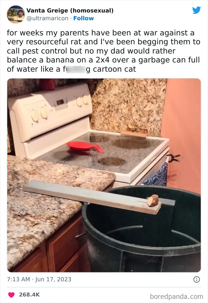 Tom & Jerry Irl