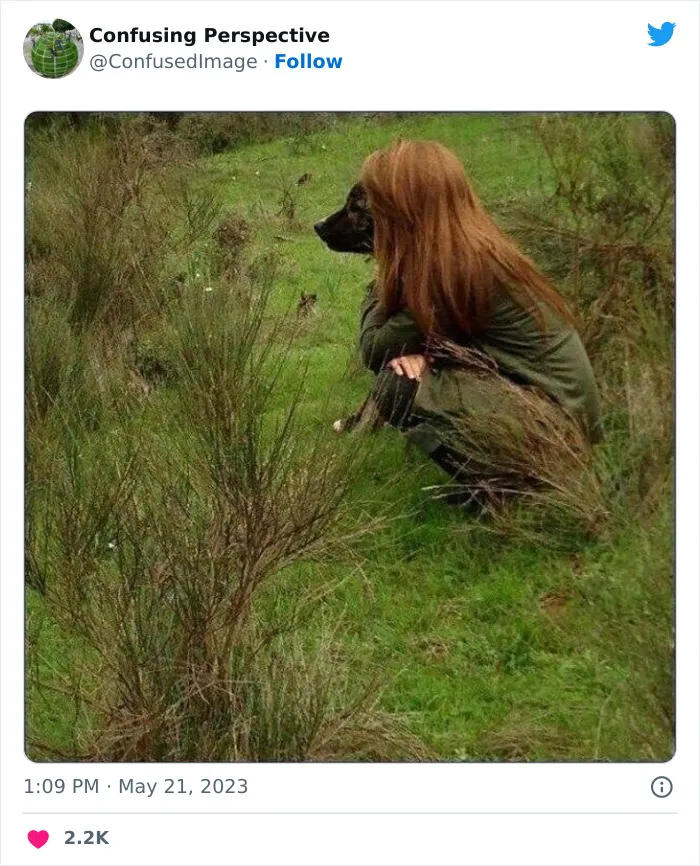50 Seriously Confusing Pics That Might Require A Double Take, As Shared On This Twitter Page