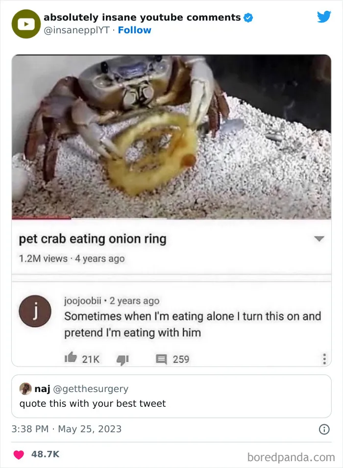 39 Times Savage Comments Earned Their Place On The “Absolutely Insane YouTube Comments” Twitter Page (New Pics)