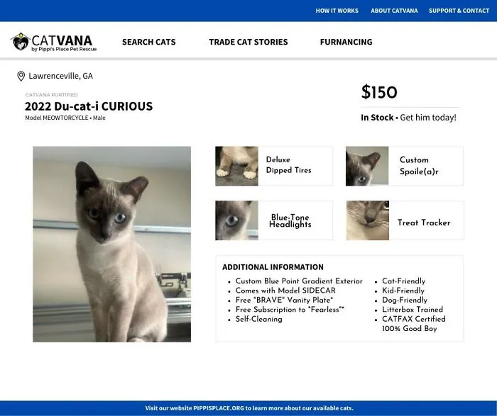 These 12 Shelter Cats Are Advertised As Cars For Sale, And The Result Is Hilarious