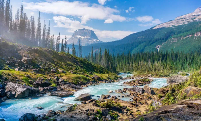 30 “Quintessential American Experiences” That Tourists Should Try, As Shared By Internet Users
