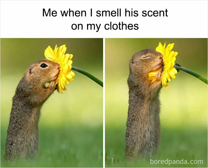30 Funny And Relatable Memes From This Instagram Page That Perfectly Sum Up Relationships