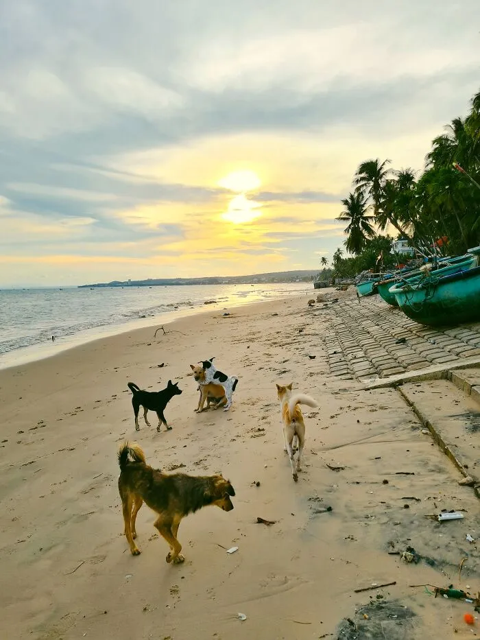 I Love Capturing Sunsets, And Here Are The 20 Best Photos During The Golden Hour In Vietnam