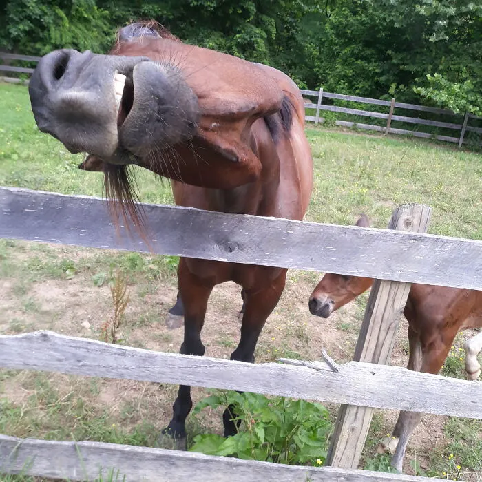 Whisper Being Silly