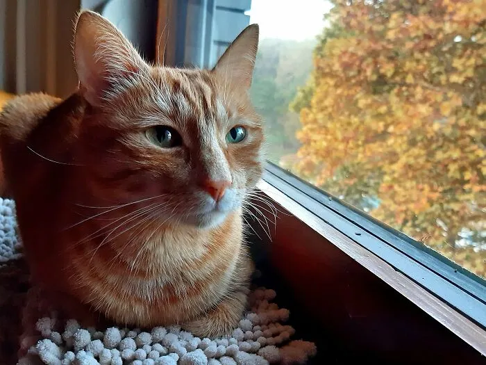 My Sweet Loaf.......🍞🥰