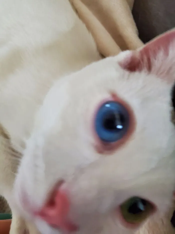 Feelin' Cute. Might Delete L8r. 😻 #nomakeup #nofilter