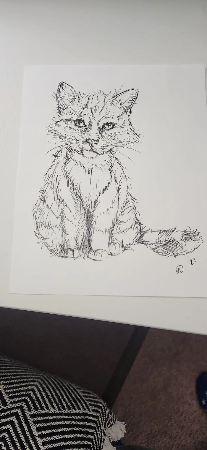 Kitty Cat