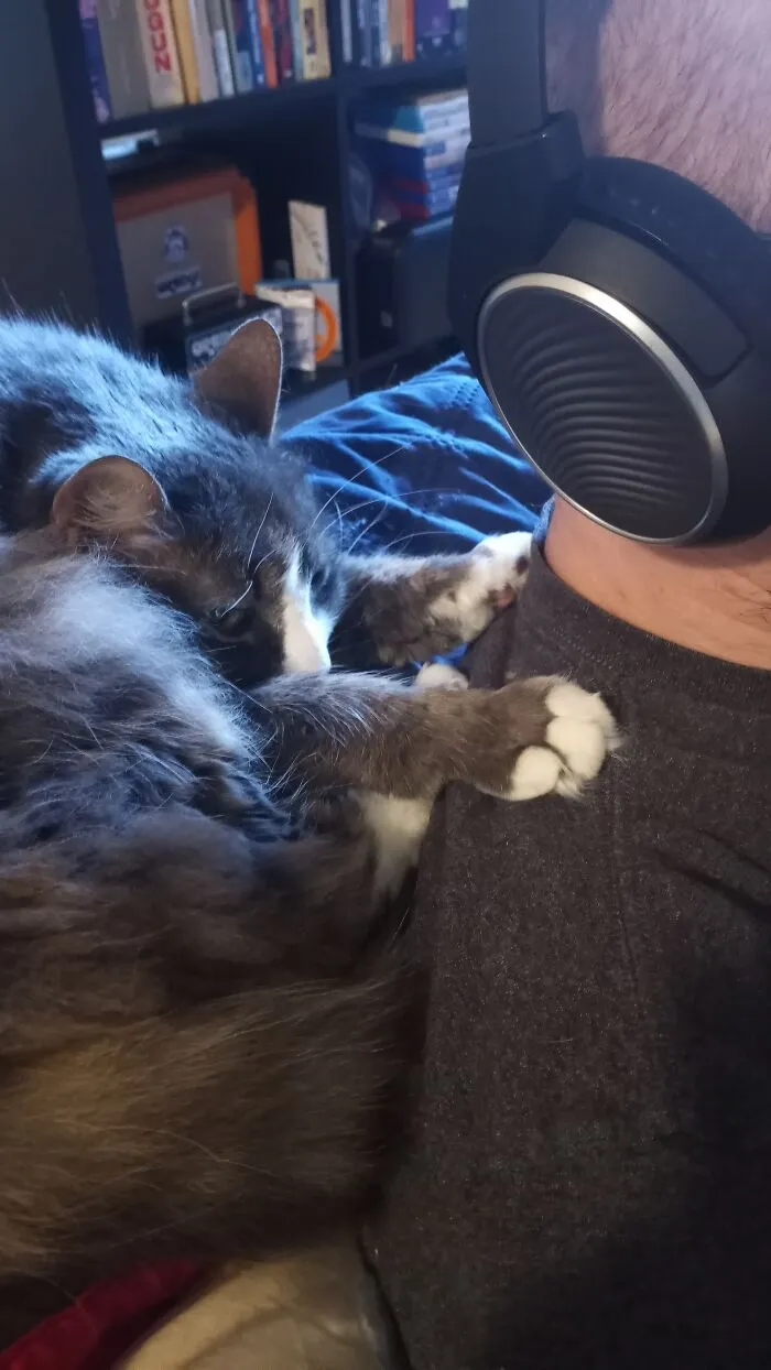 Dis Is My Hooman