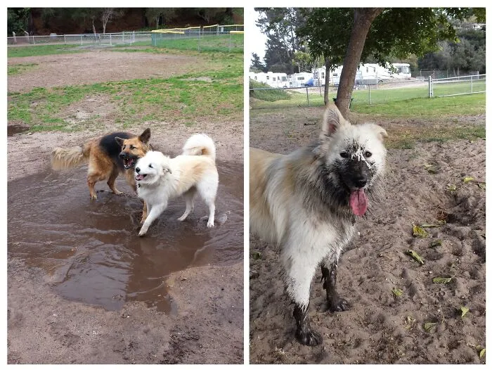 Before And After