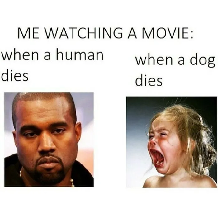 30 Hilarious Memes We Found On These Instagram Pages